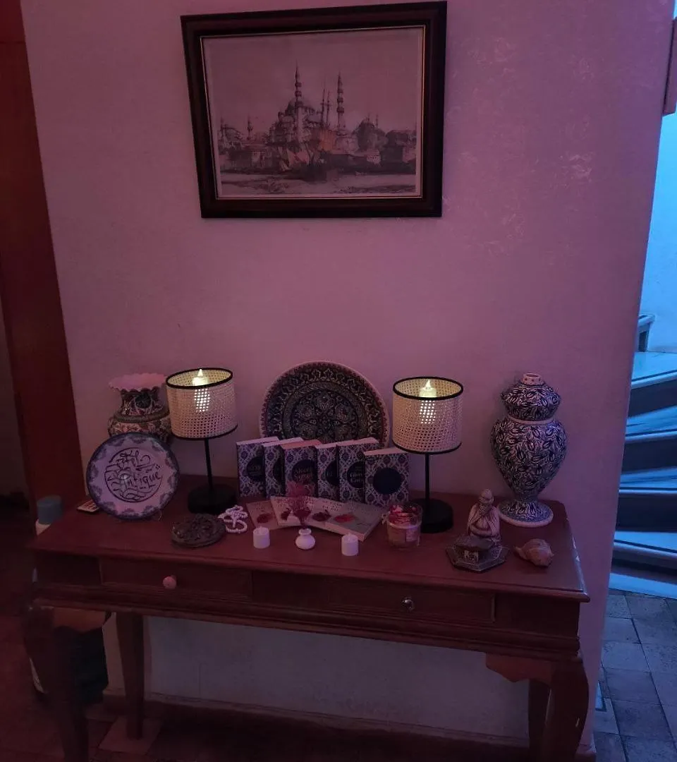 Antique Hotel And Apartments Istanbul 0*,